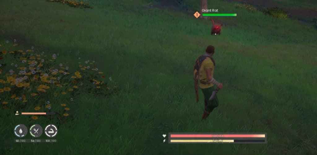 Giant Rat in the field